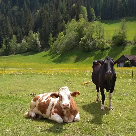 Gaestehaus Blonbauer *