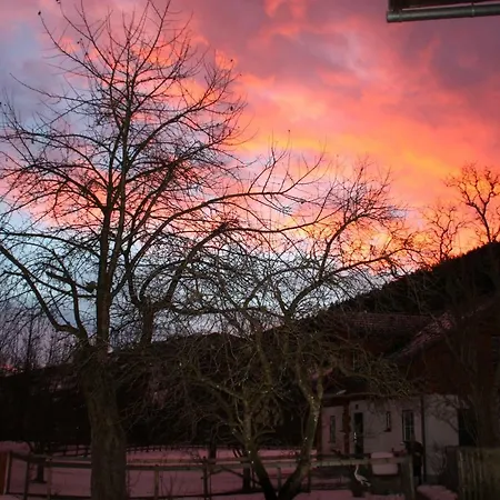 Gaestehaus Blonbauer Homestay *